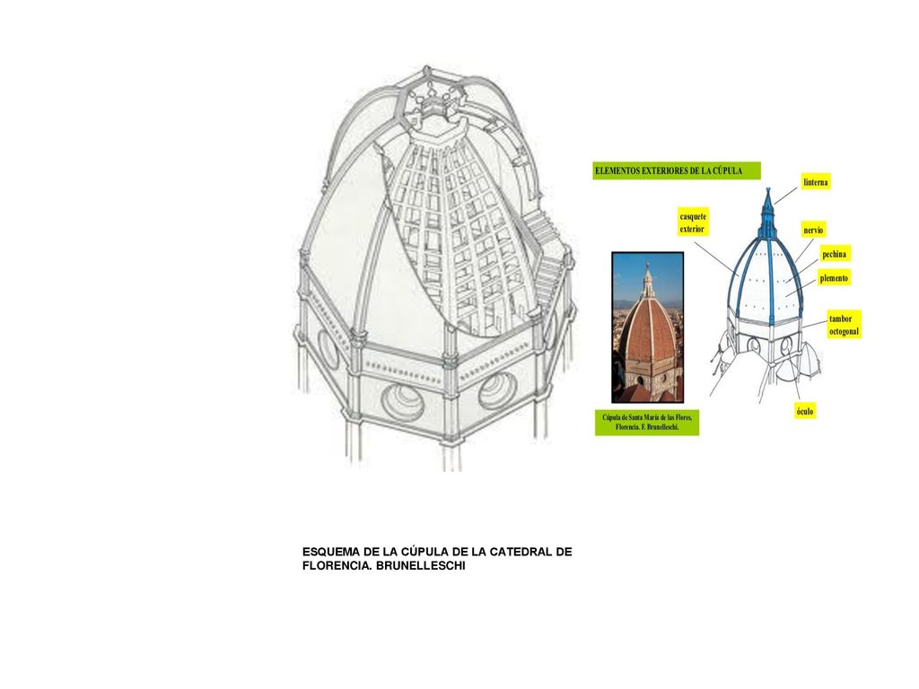 ESQUEMA DE LA CÚPULA DE LA CATEDRAL DE FLORENCIA. BRUNELLESCHI