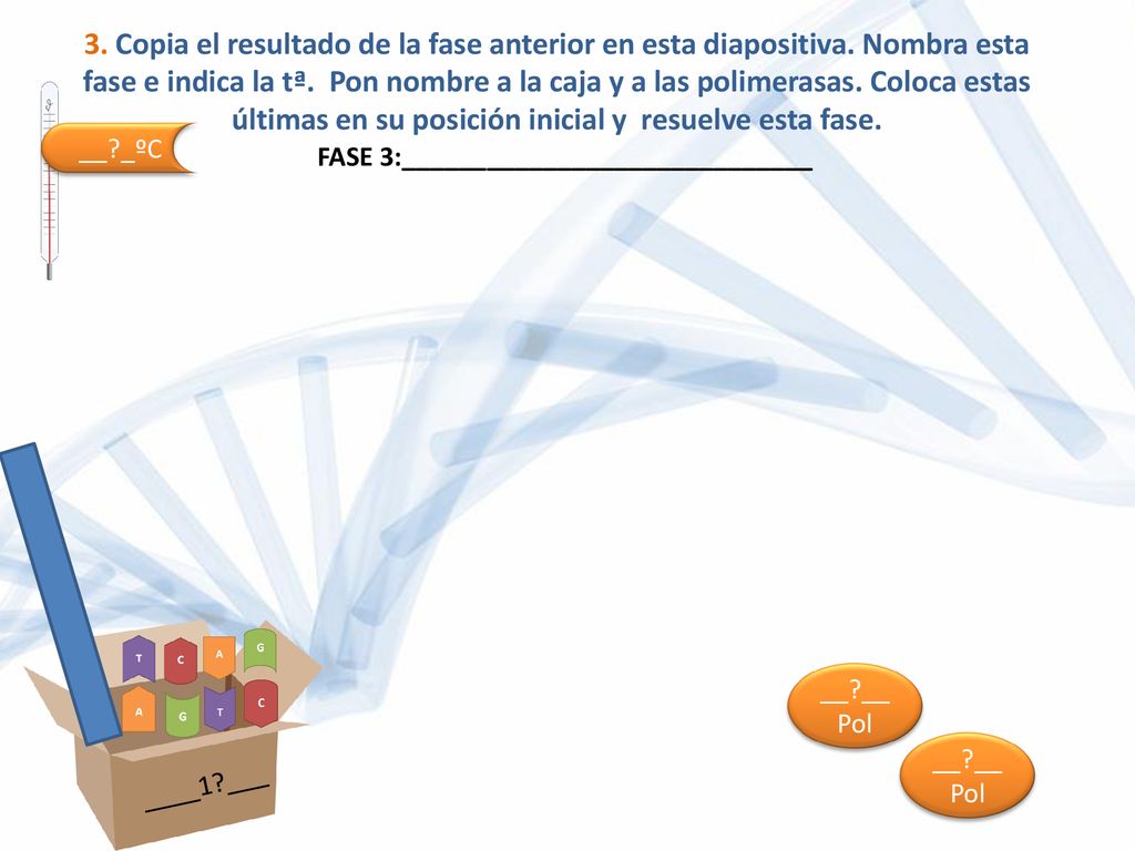 3. Copia el resultado de la fase anterior en esta diapositiva