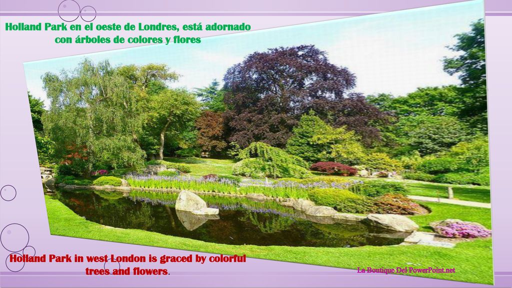 Holland Park in west London is graced by colorful trees and flowers.