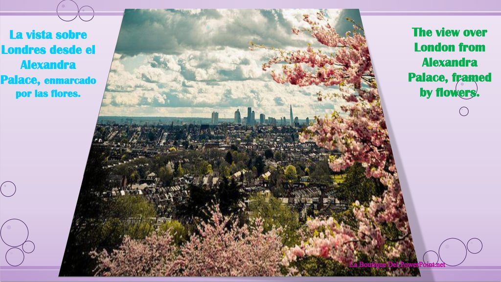 The view over London from Alexandra Palace, framed by flowers.
