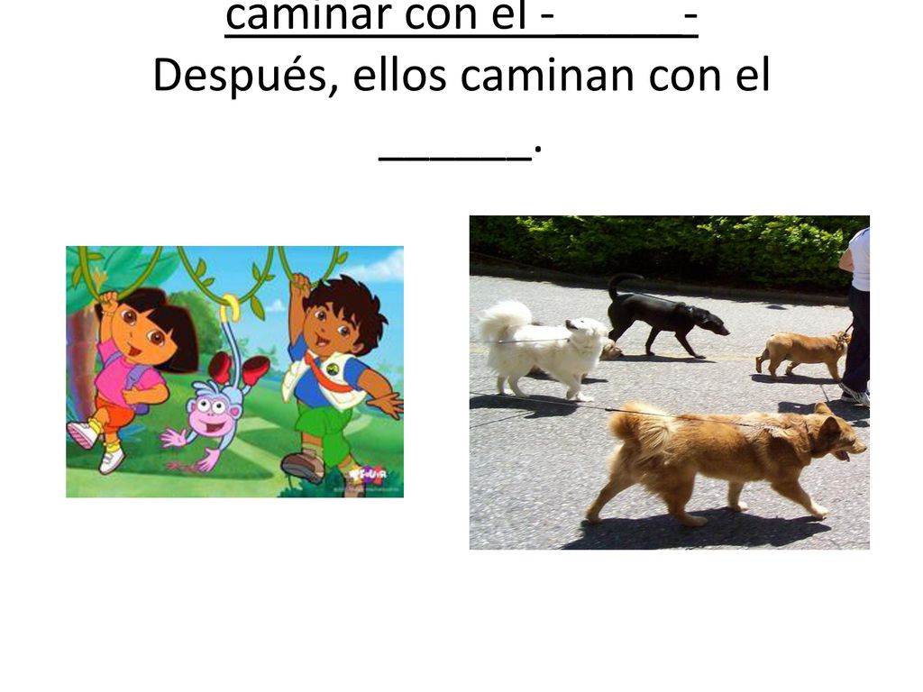 caminar con el -_____- Después, ellos caminan con el ______.