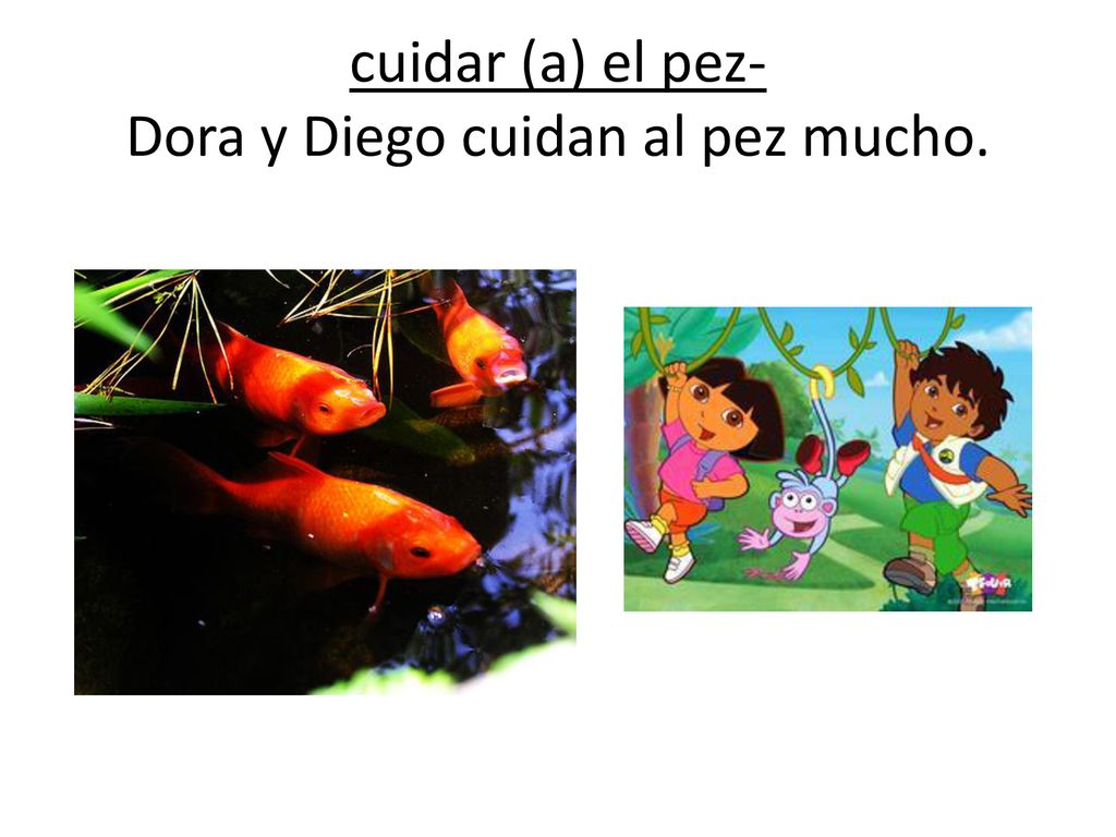 cuidar (a) el pez- Dora y Diego cuidan al pez mucho.