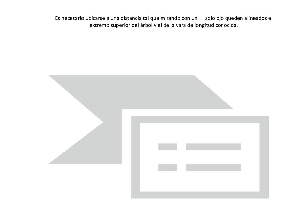 Es necesario ubicarse a una distancia tal que mirando con un solo ojo queden alineados el extremo superior del árbol y el de la vara de longitud conocida.