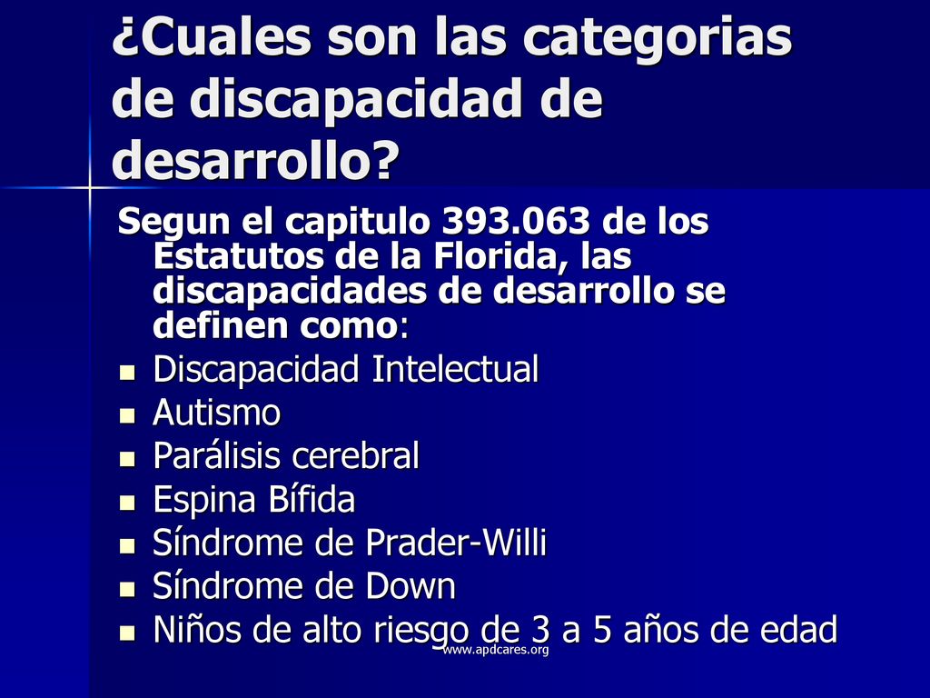 ¿Cuales son las categorias de discapacidad de desarrollo