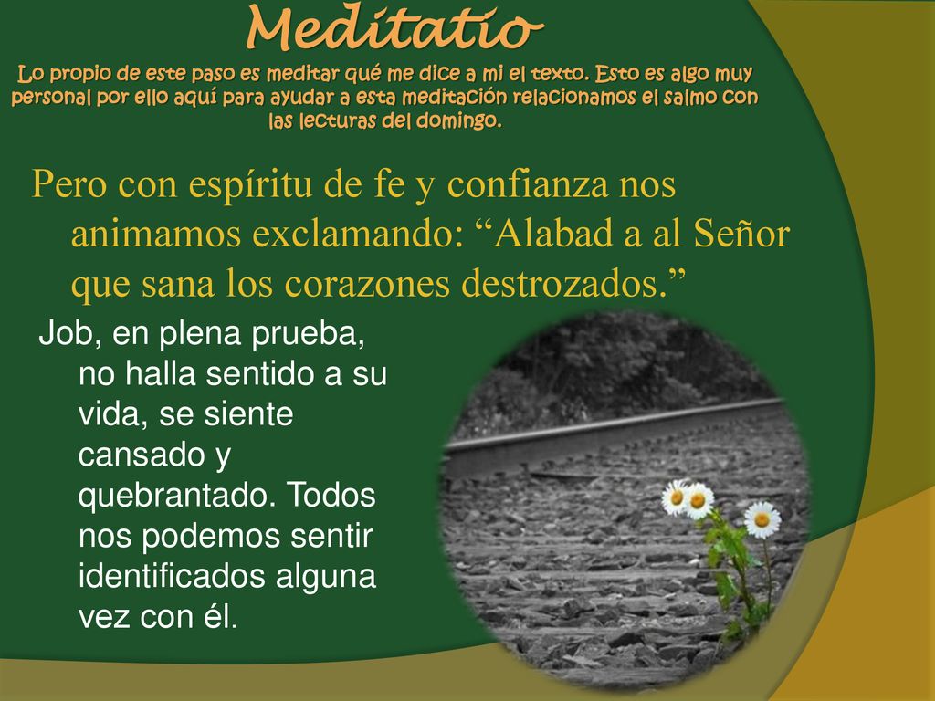 Meditatio Lo propio de este paso es meditar qué me dice a mi el texto