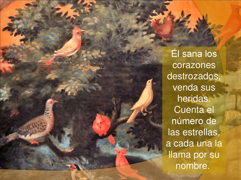 Él sana los corazones destrozados, venda sus heridas