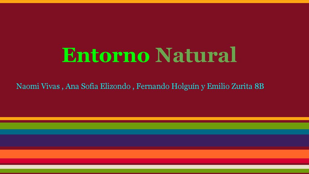 Naomi Vivas , Ana Sofia Elizondo , Fernando Holguín y Emilio Zurita 8B
