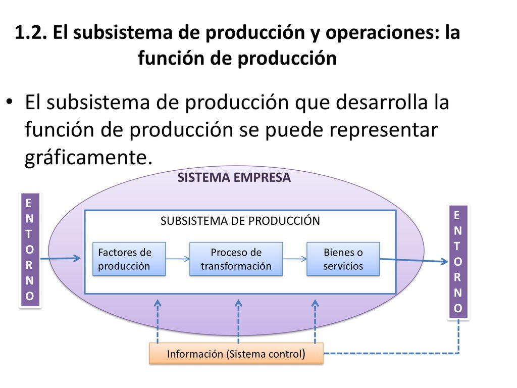 1.2. El subsistema de producción y operaciones: la función de producción