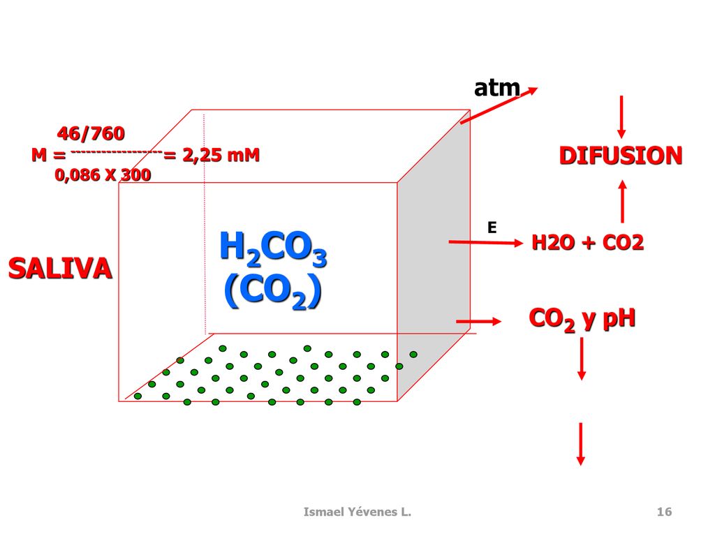 H2CO3 (CO2) SALIVA atm DIFUSION CO2 y pH H2O + CO2 46/760