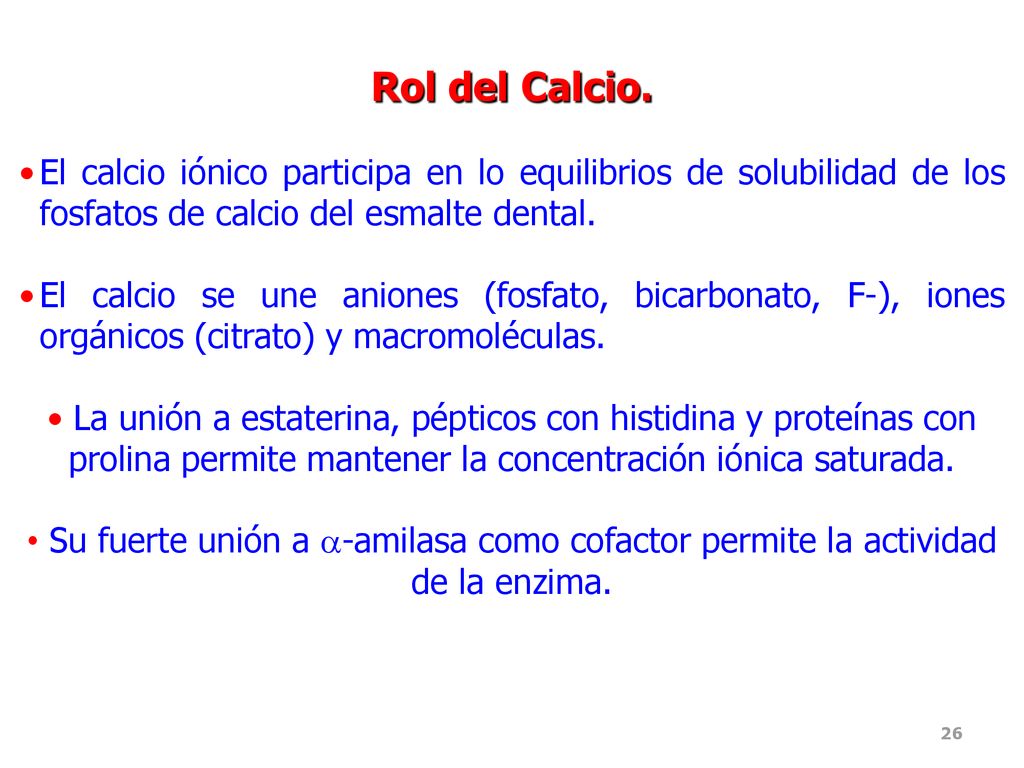 Rol del Calcio. El calcio iónico participa en lo equilibrios de solubilidad de los fosfatos de calcio del esmalte dental.