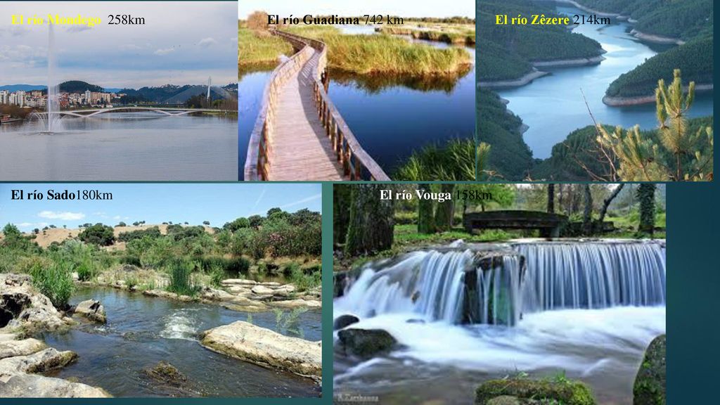 El río Mondego 258km El río Guadiana 742 km El río Zêzere 214km