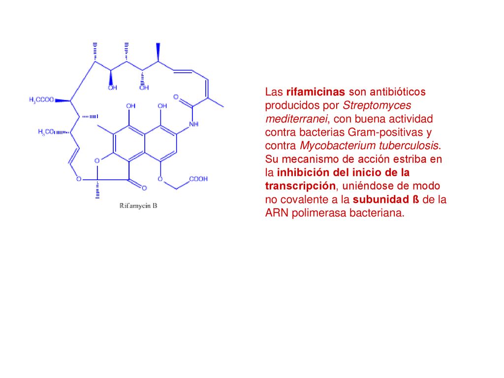 Las rifamicinas son antibióticos producidos por Streptomyces mediterranei, con buena actividad contra bacterias Gram-positivas y contra Mycobacterium tuberculosis.