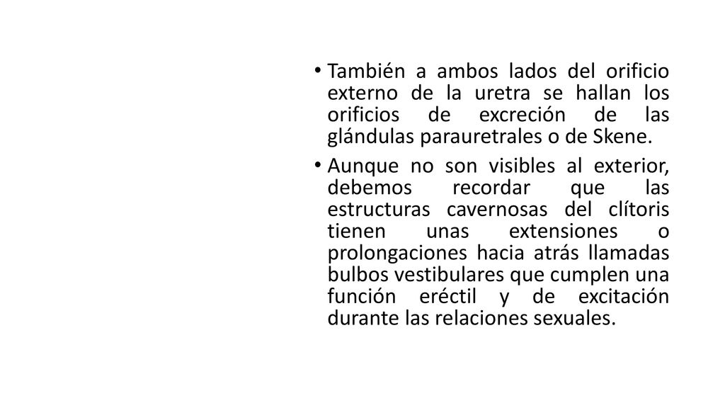 También a ambos lados del orificio externo de la uretra se hallan los orificios de excreción de las glándulas parauretrales o de Skene.