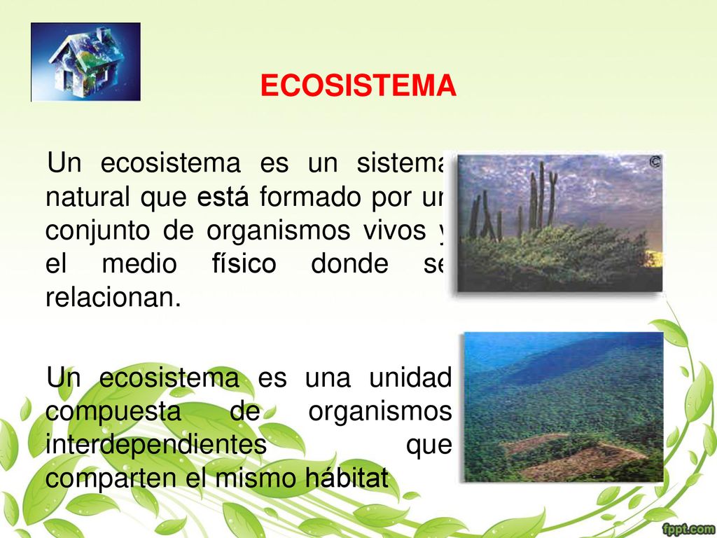 ECOSISTEMA Un ecosistema es un sistema natural que está formado por un conjunto de organismos vivos y el medio físico donde se relacionan.
