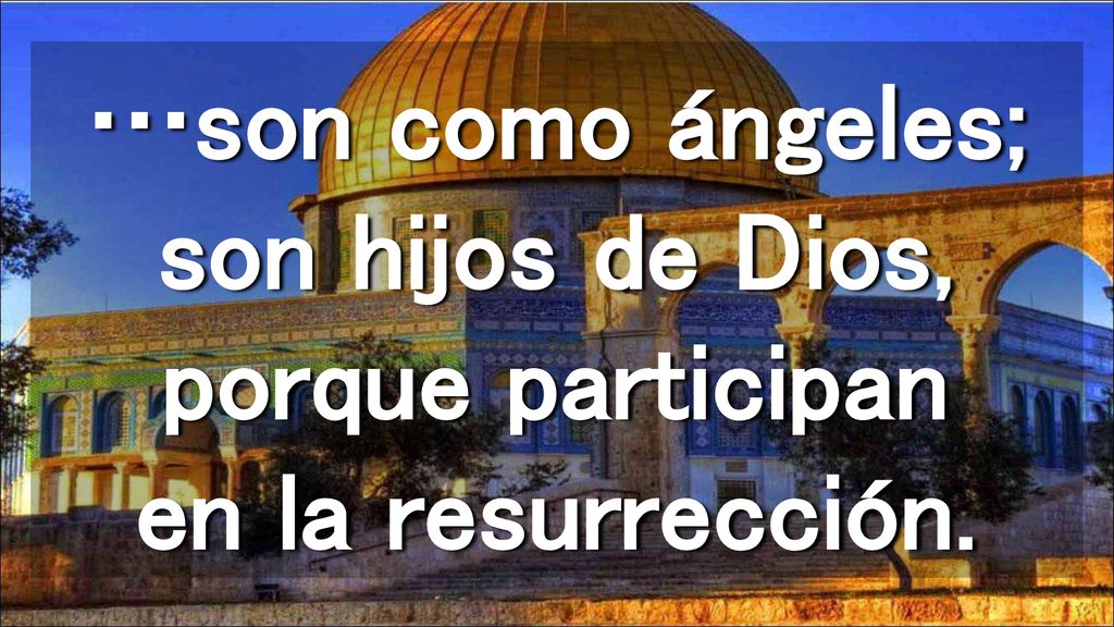 …son como ángeles; son hijos de Dios, porque participan en la resurrección.