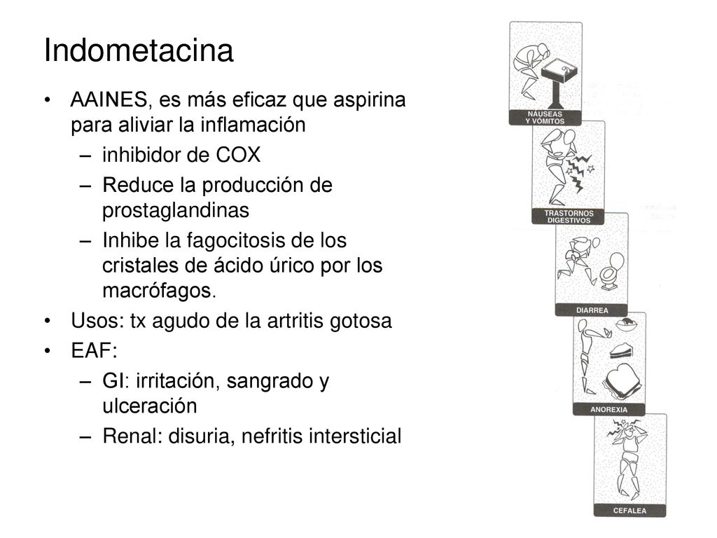 Indometacina AAINES, es más eficaz que aspirina para aliviar la inflamación. inhibidor de COX. Reduce la producción de prostaglandinas.