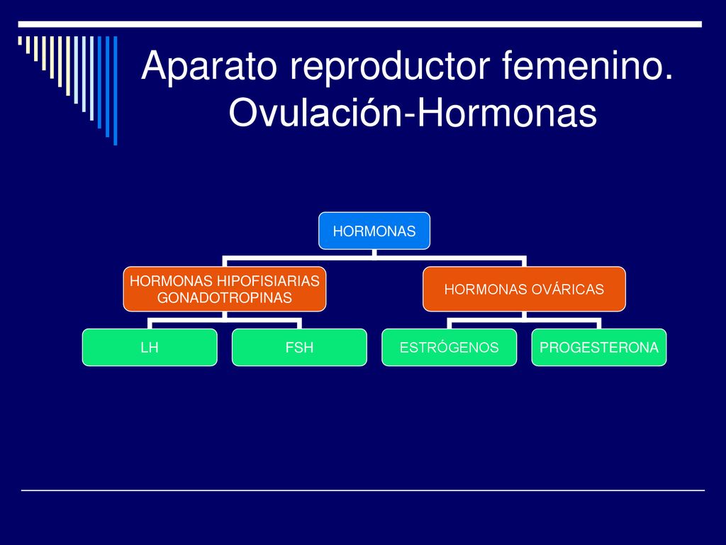 Aparato reproductor femenino. Ovulación-Hormonas