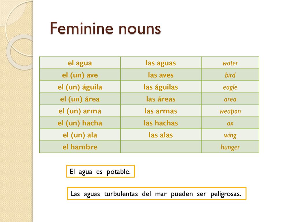 Feminine nouns el agua las aguas water el (un) ave las aves bird