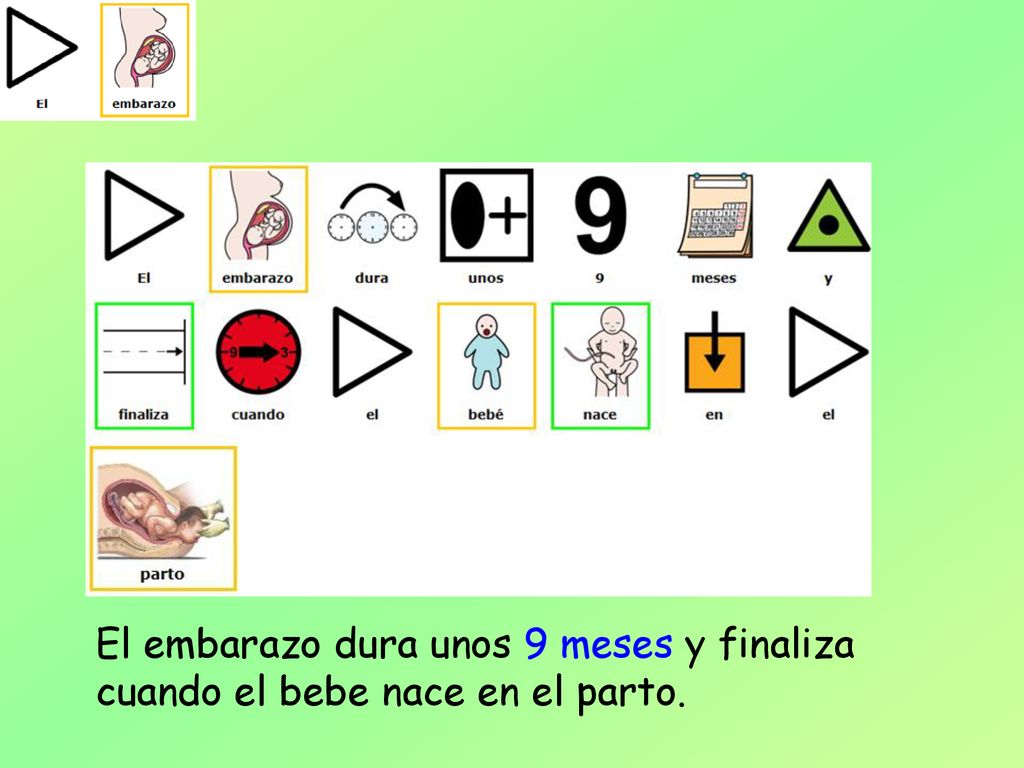 El embarazo dura unos 9 meses y finaliza cuando el bebe nace en el parto.