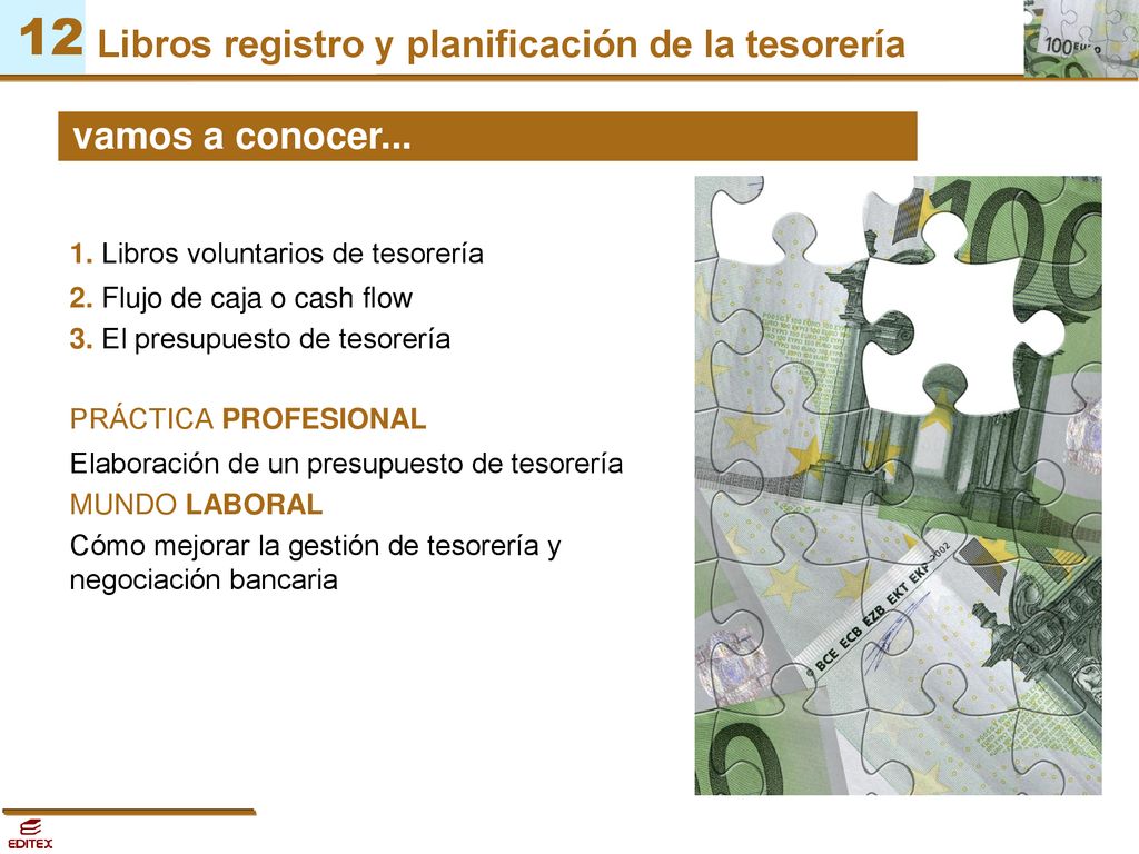 1. Libros voluntarios de tesorería 2. Flujo de caja o cash flow