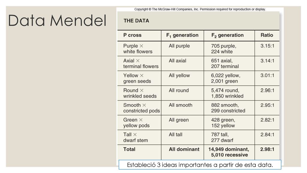 Estableció 3 ideas importantes a partir de esta data.