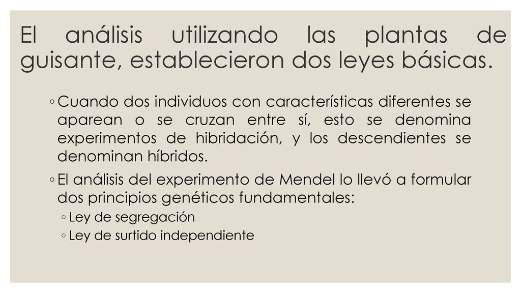 El análisis utilizando las plantas de guisante, establecieron dos leyes básicas.