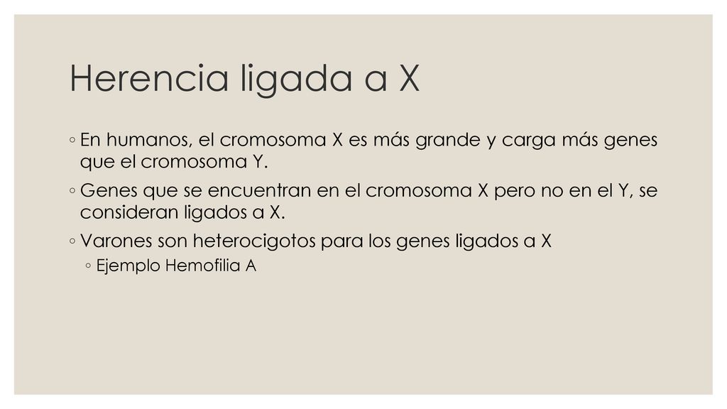 Herencia ligada a X En humanos, el cromosoma X es más grande y carga más genes que el cromosoma Y.