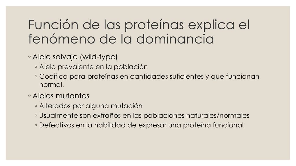 Función de las proteínas explica el fenómeno de la dominancia