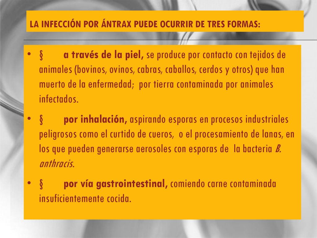 La infección por ántrax puede ocurrir de tres formas: