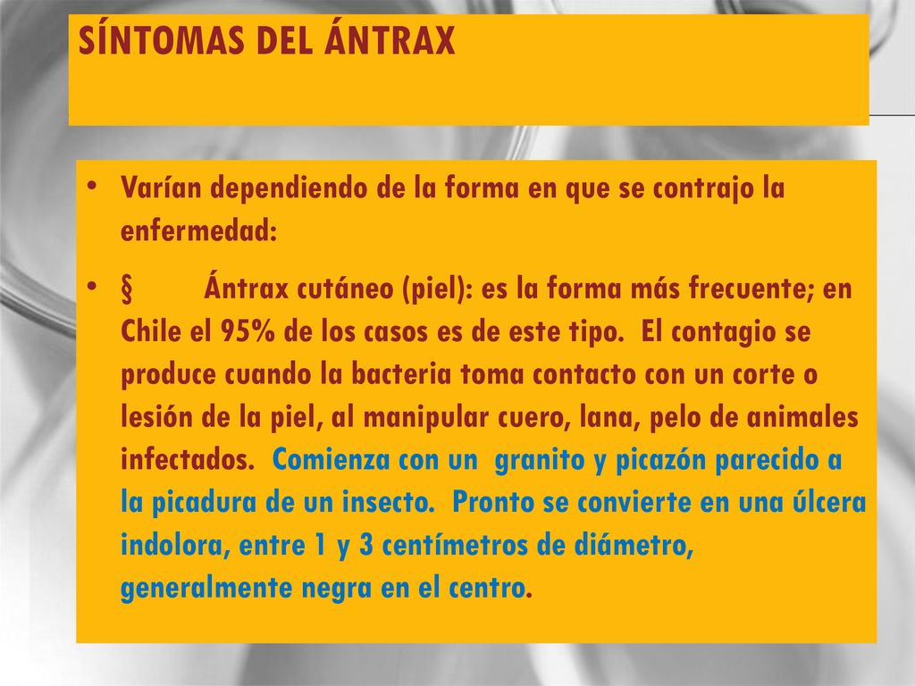 síntomas del Ántrax Varían dependiendo de la forma en que se contrajo la enfermedad: