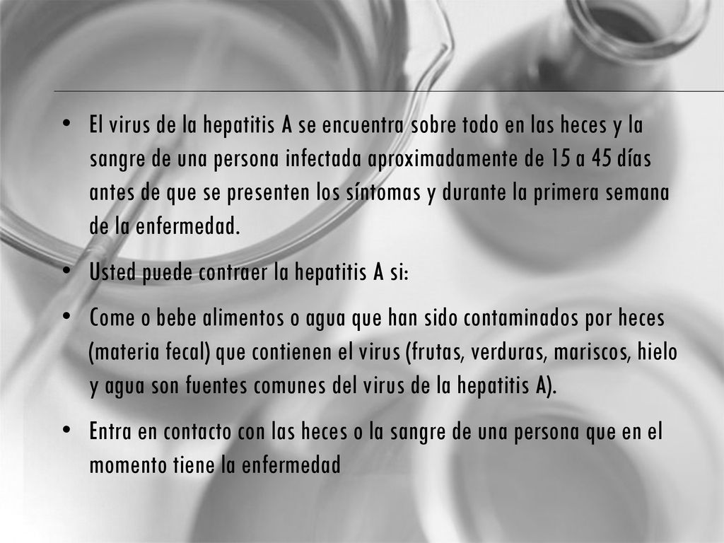 El virus de la hepatitis A se encuentra sobre todo en las heces y la sangre de una persona infectada aproximadamente de 15 a 45 días antes de que se presenten los síntomas y durante la primera semana de la enfermedad.