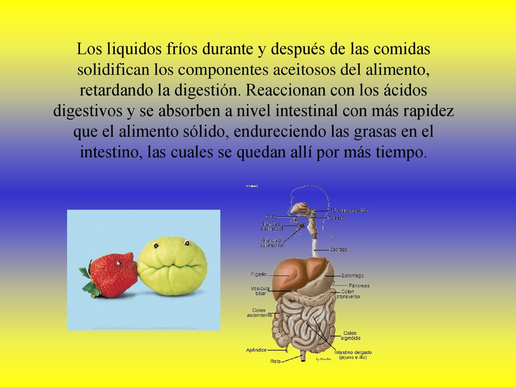 Los liquidos fríos durante y después de las comidas solidifican los componentes aceitosos del alimento, retardando la digestión.