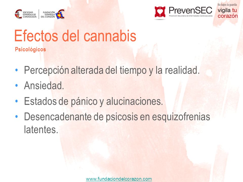 Efectos del cannabis Percepción alterada del tiempo y la realidad.