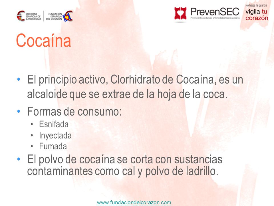 Cocaína El principio activo, Clorhidrato de Cocaína, es un alcaloide que se extrae de la hoja de la coca.