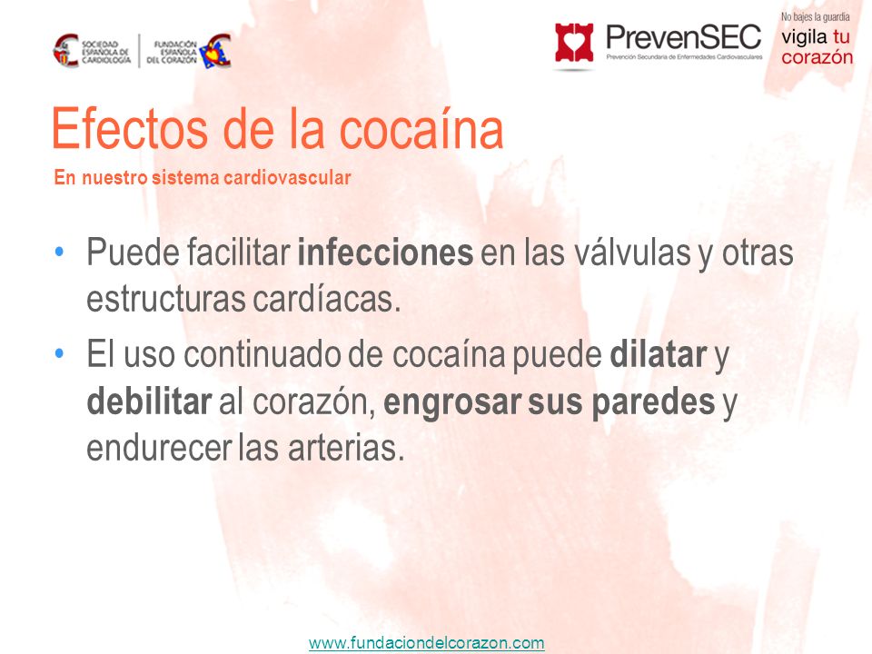 Efectos de la cocaína En nuestro sistema cardiovascular. Puede facilitar infecciones en las válvulas y otras estructuras cardíacas.