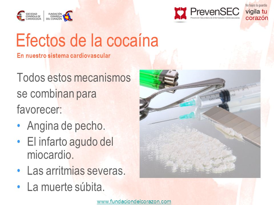 Efectos de la cocaína Todos estos mecanismos se combinan para