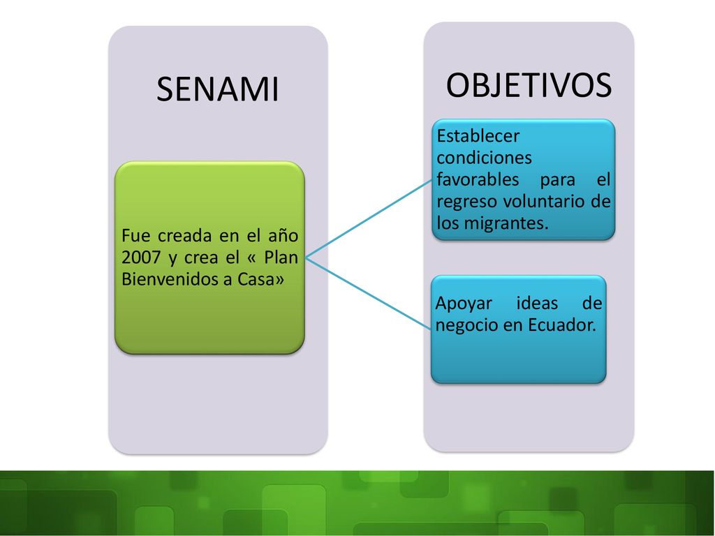 OBJETIVOS SENAMI. Fue creada en el año 2007 y crea el « Plan Bienvenidos a Casa»