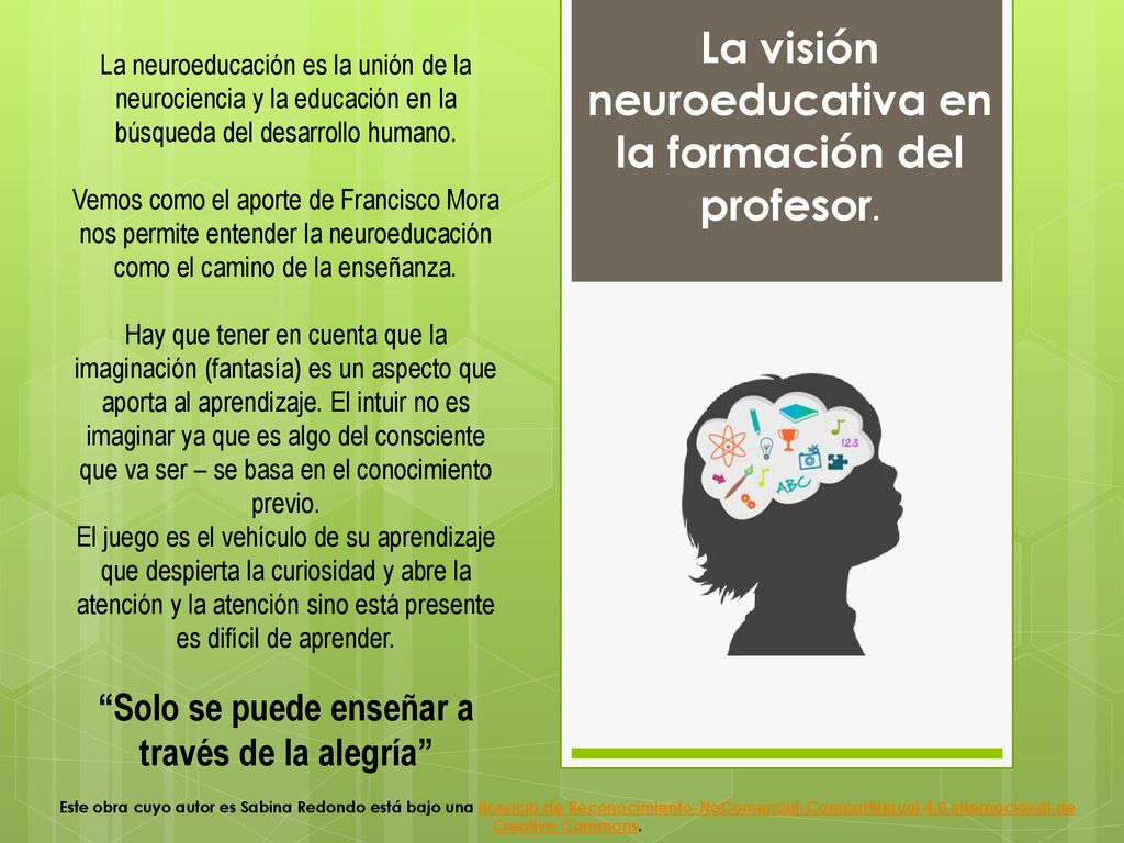 La visión neuroeducativa en la formación del profesor.