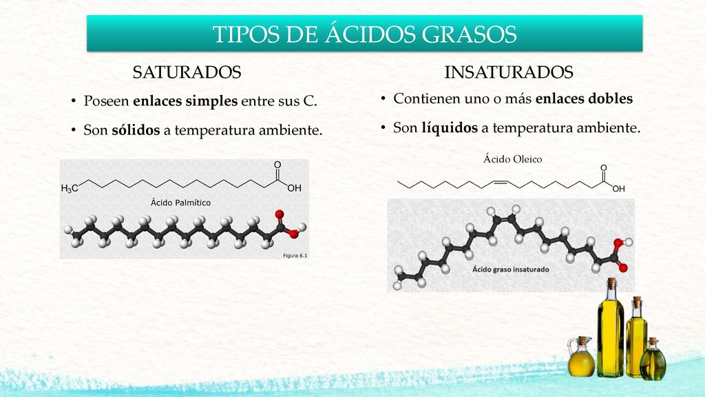 TIPOS DE ÁCIDOS GRASOS SATURADOS INSATURADOS