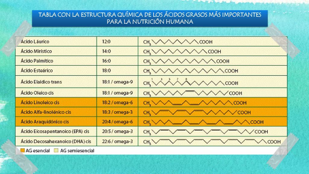 TABLA CON LA ESTRUCTURA QUÍMICA DE LOS ÁCIDOS GRASOS MÁS IMPORTANTES PARA LA NUTRICIÓN HUMANA