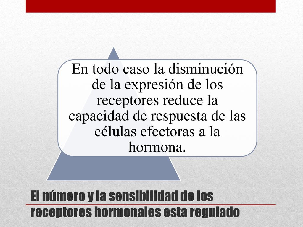 El número y la sensibilidad de los receptores hormonales esta regulado