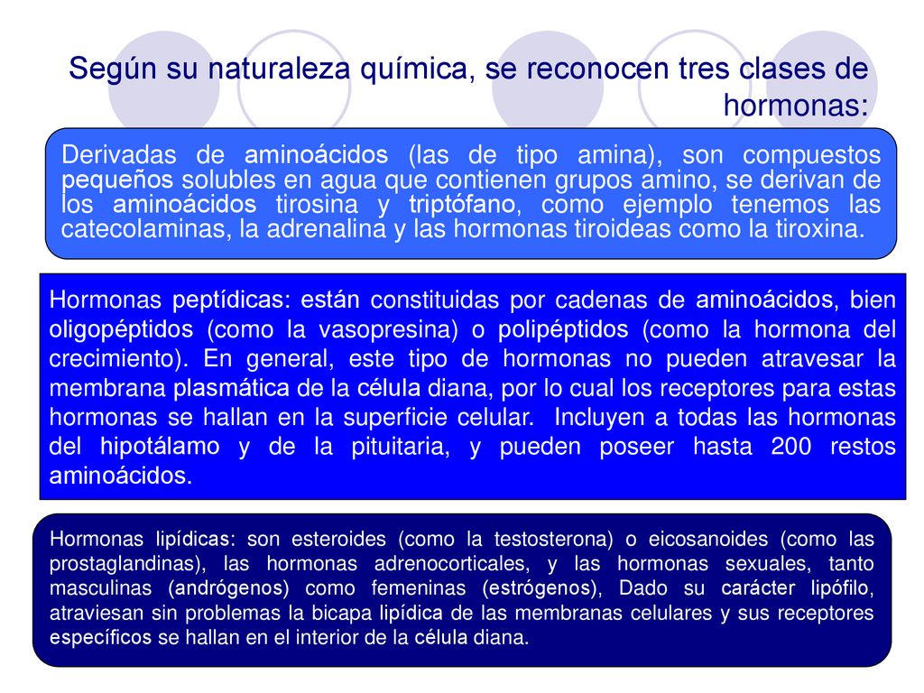 Según su naturaleza química, se reconocen tres clases de hormonas: