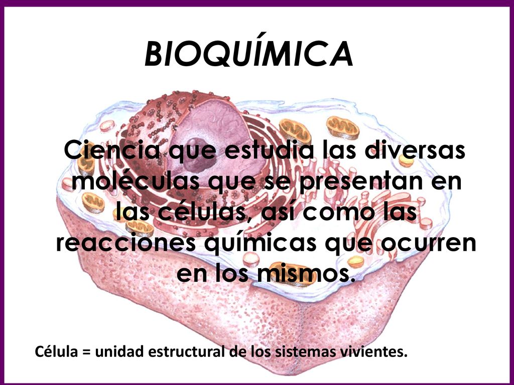 BIOQUÍMICA Ciencia que estudia las diversas moléculas que se presentan en las células, así como las reacciones químicas que ocurren en los mismos.