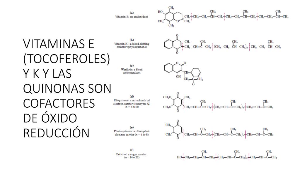 VITAMINAS E (TOCOFEROLES) Y K Y LAS QUINONAS SON COFACTORES DE ÓXIDO REDUCCIÓN