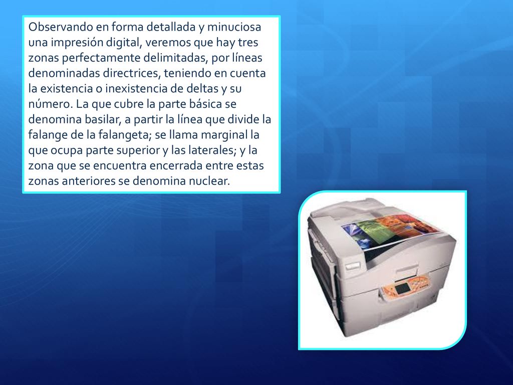 Observando en forma detallada y minuciosa una impresión digital, veremos que hay tres zonas perfectamente delimitadas, por líneas denominadas directrices, teniendo en cuenta la existencia o inexistencia de deltas y su número.