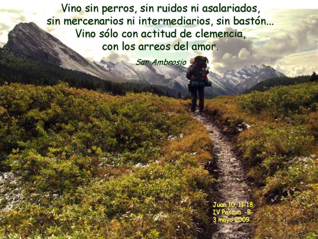 Vino sin perros, sin ruidos ni asalariados, sin mercenarios ni intermediarios, sin bastón... Vino sólo con actitud de clemencia, con los arreos del amor.