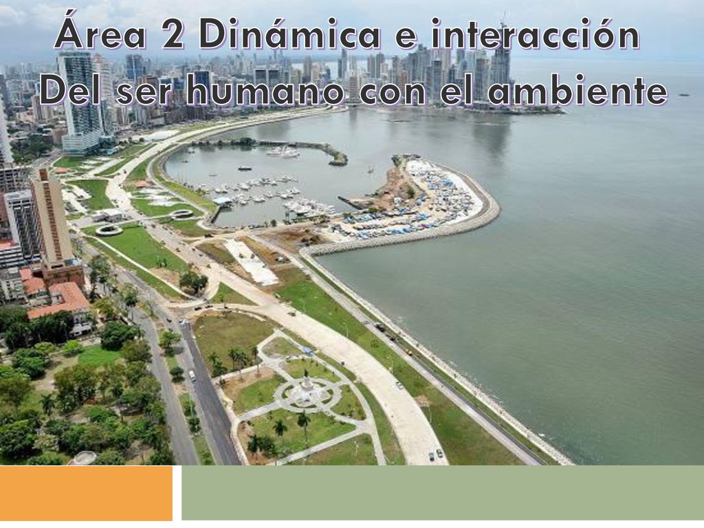 Área 2 Dinámica e interacción Del ser humano con el ambiente