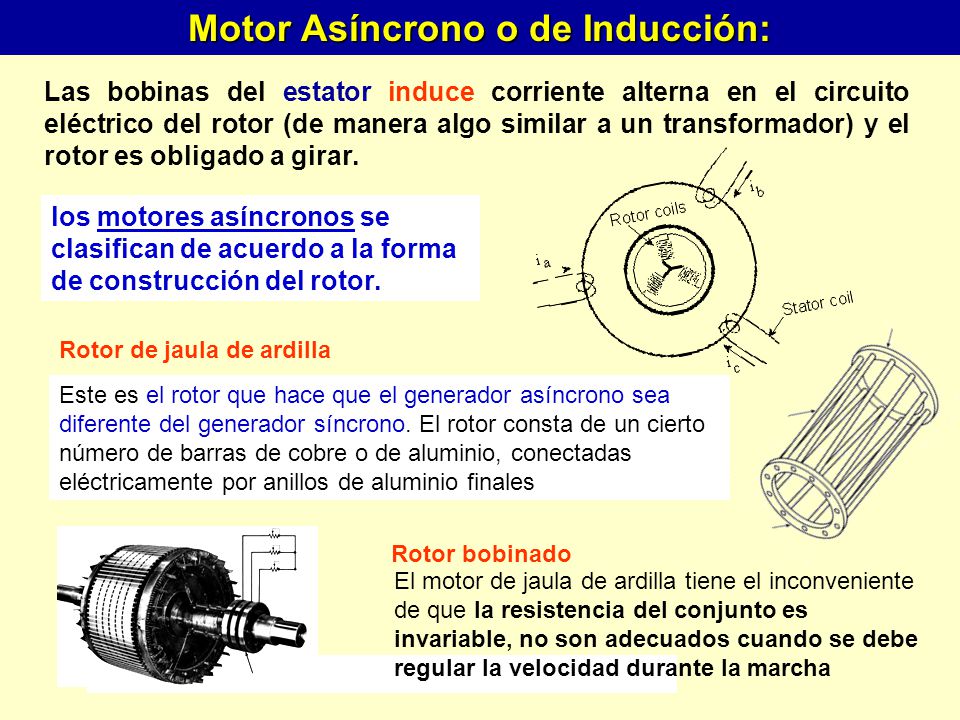 Motor Asíncrono o de Inducción: Rotor de jaula de ardilla