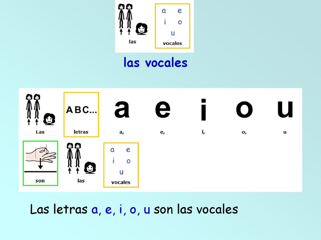 las vocales Las letras a, e, i, o, u son las vocales