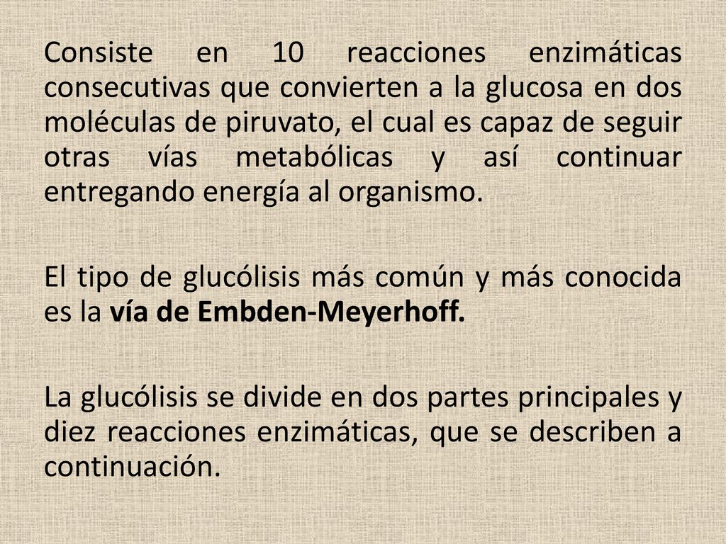 Consiste en 10 reacciones enzimáticas consecutivas que convierten a la glucosa en dos moléculas de piruvato, el cual es capaz de seguir otras vías metabólicas y así continuar entregando energía al organismo.